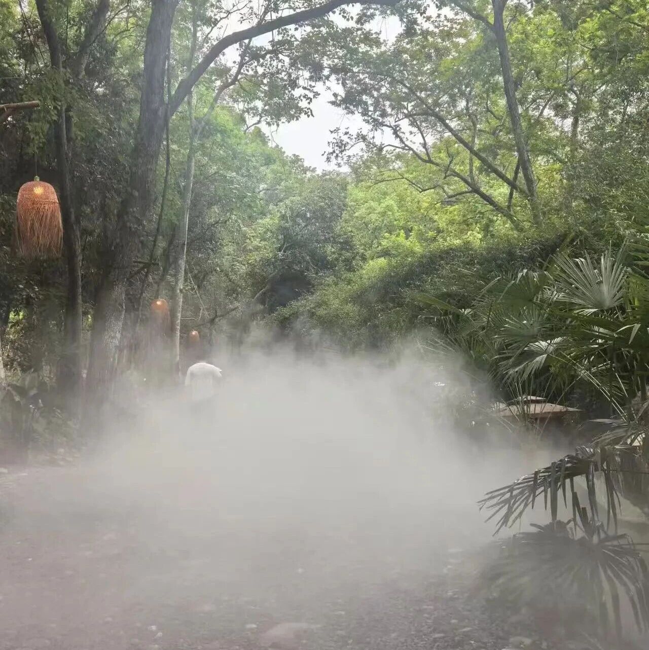 微信图片_2026-06-26_133552_244.jpg 全员带薪游玩